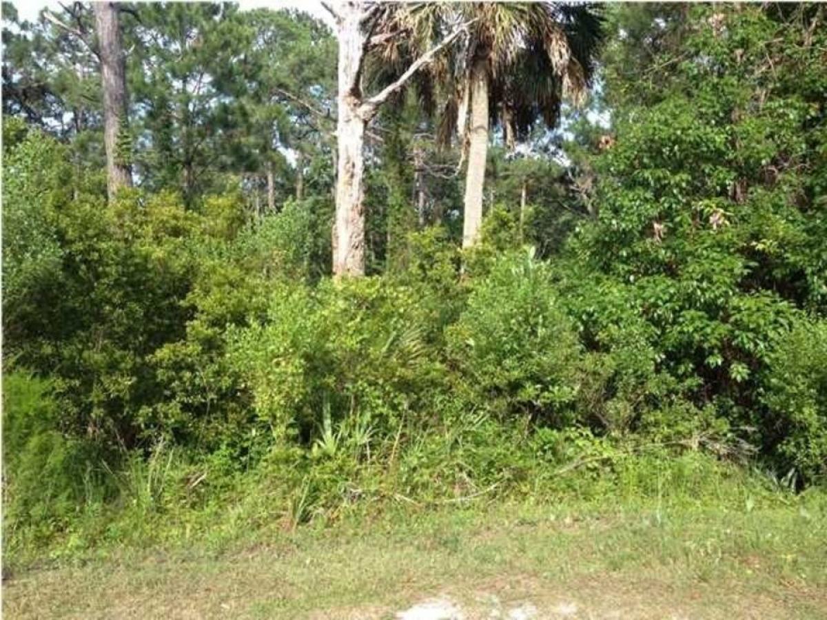 Picture of Residential Land For Sale in Carrabelle, Florida, United States