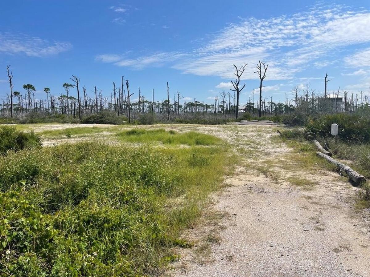 Picture of Residential Land For Sale in Cape San Blas, Florida, United States