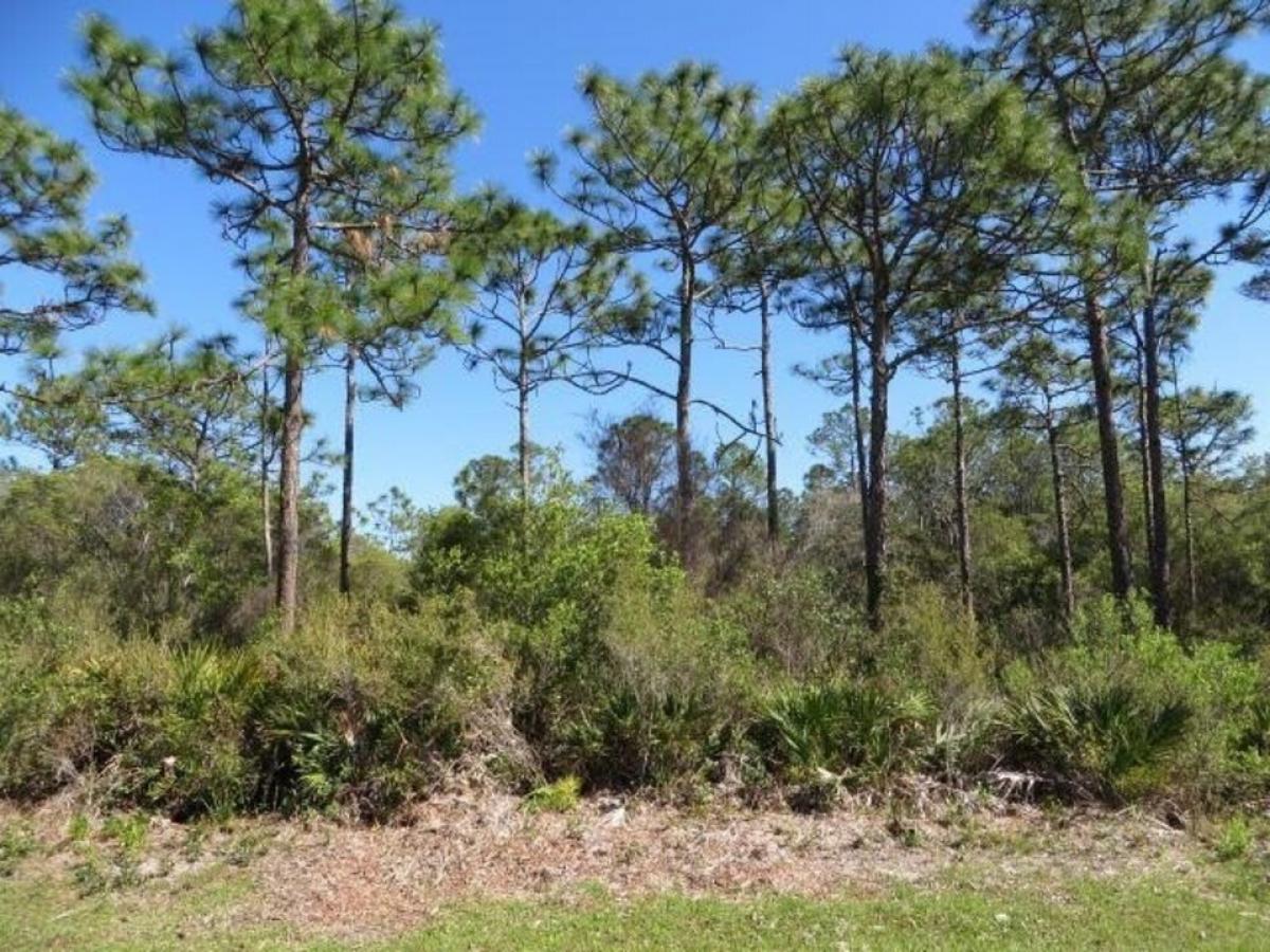 Picture of Residential Land For Sale in Carrabelle, Florida, United States