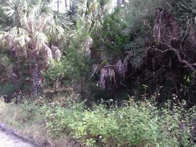 Residential Land For Sale in Panacea, Florida