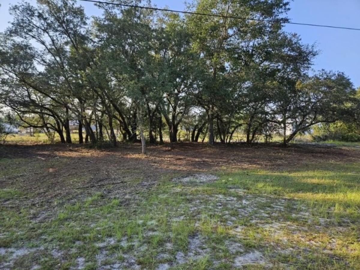 Picture of Residential Land For Sale in Carrabelle, Florida, United States