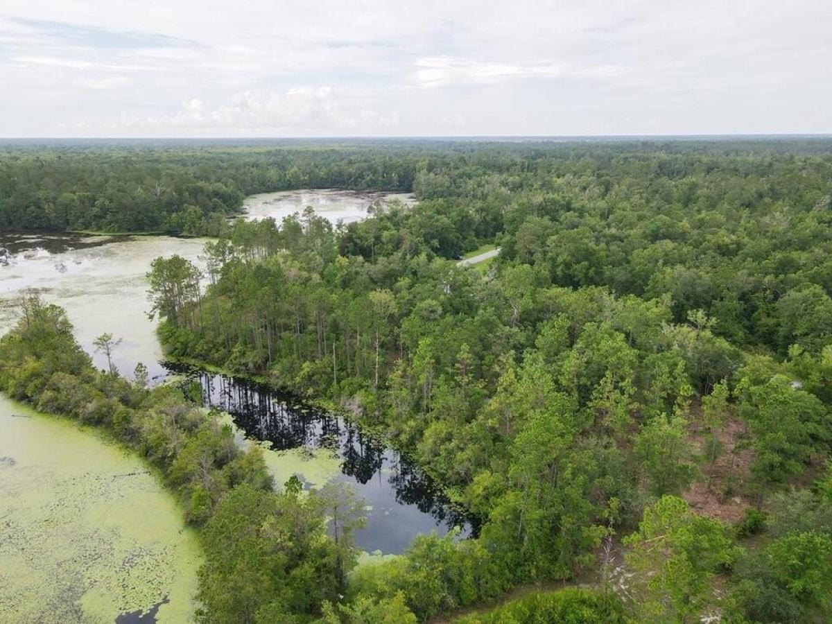 Picture of Residential Land For Sale in Wewahitchka, Florida, United States