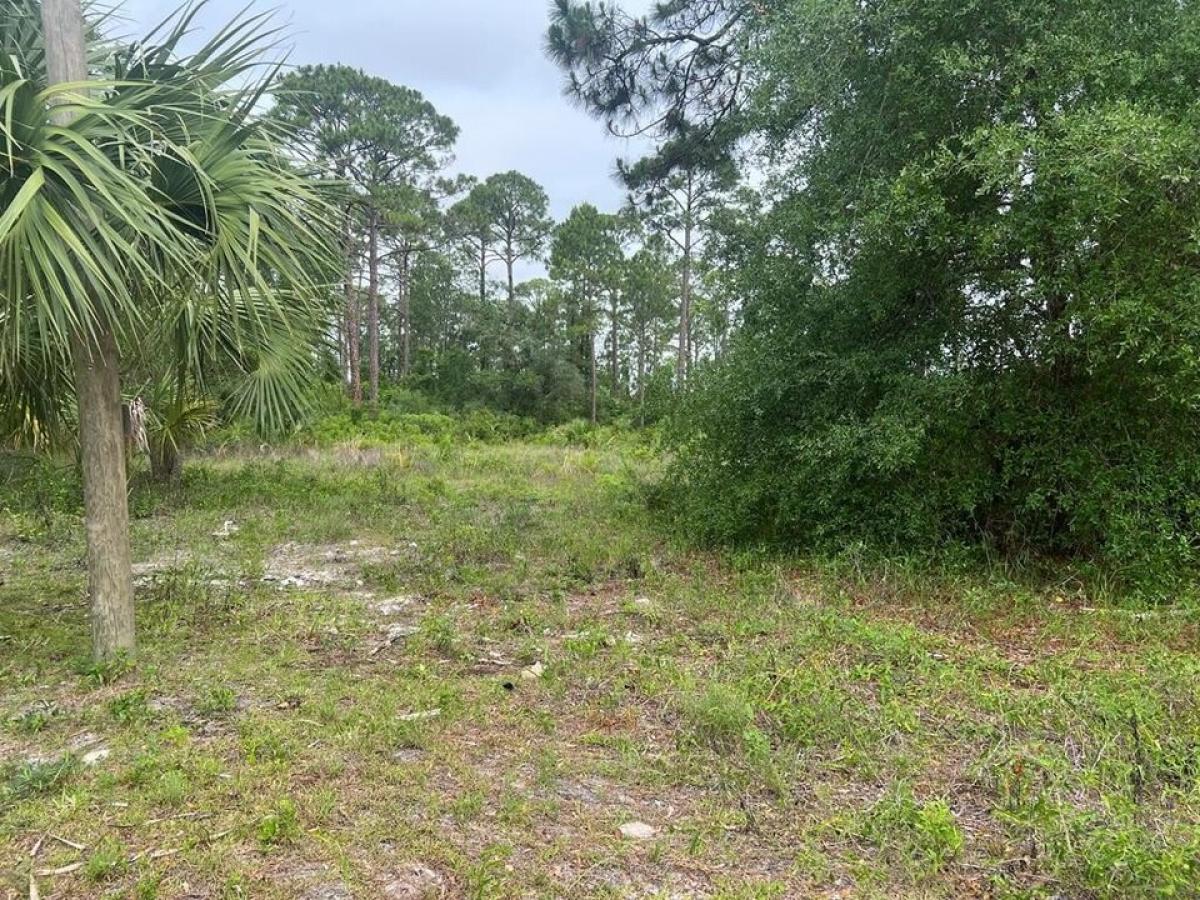 Picture of Residential Land For Sale in Carrabelle, Florida, United States