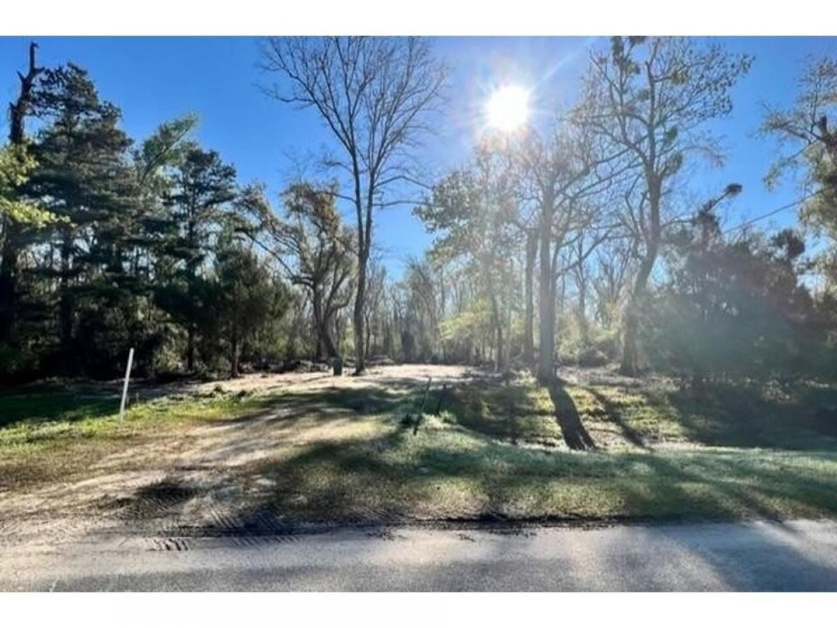 Picture of Residential Land For Sale in Wewahitchka, Florida, United States