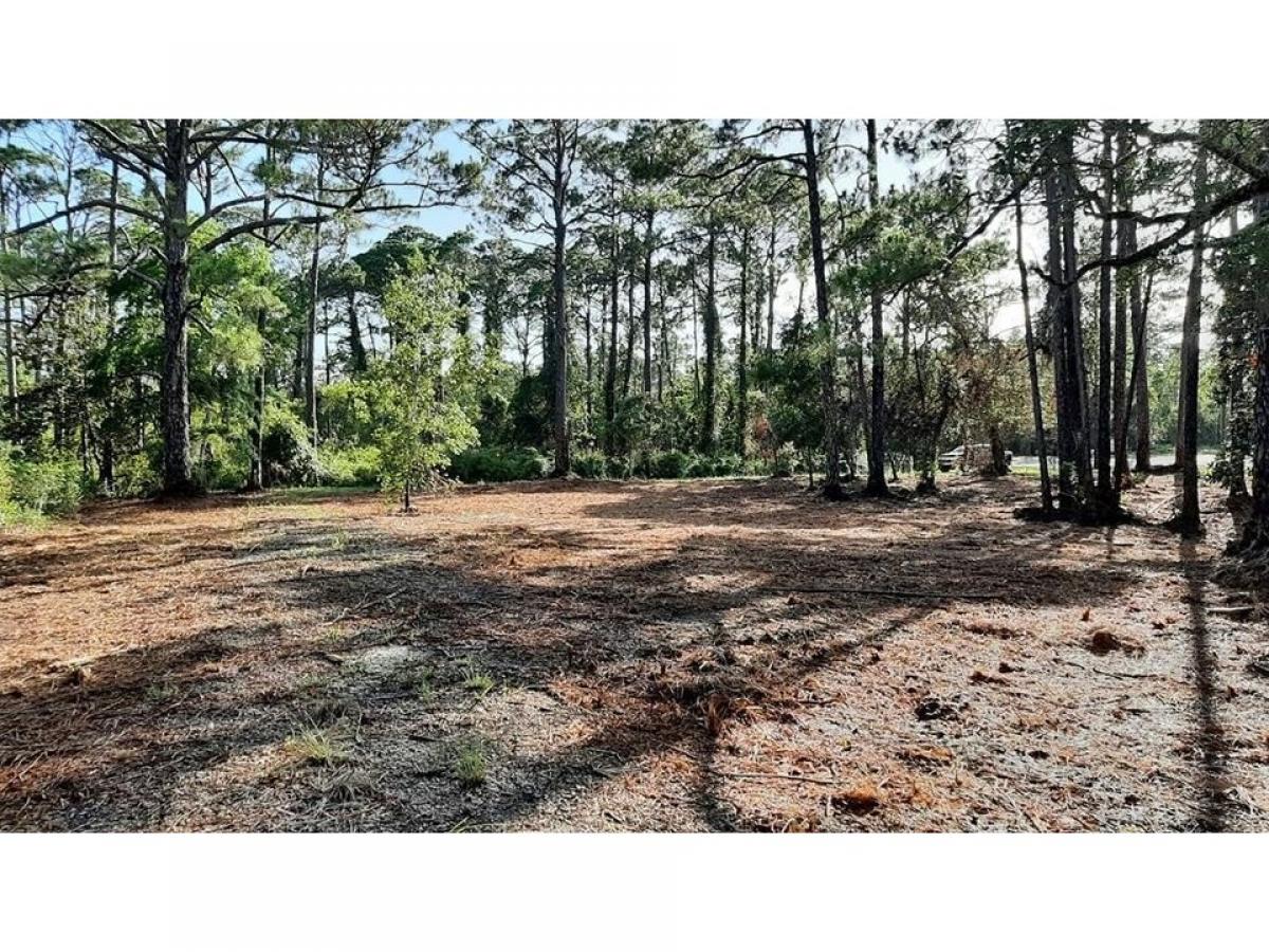 Picture of Residential Land For Sale in Carrabelle, Florida, United States