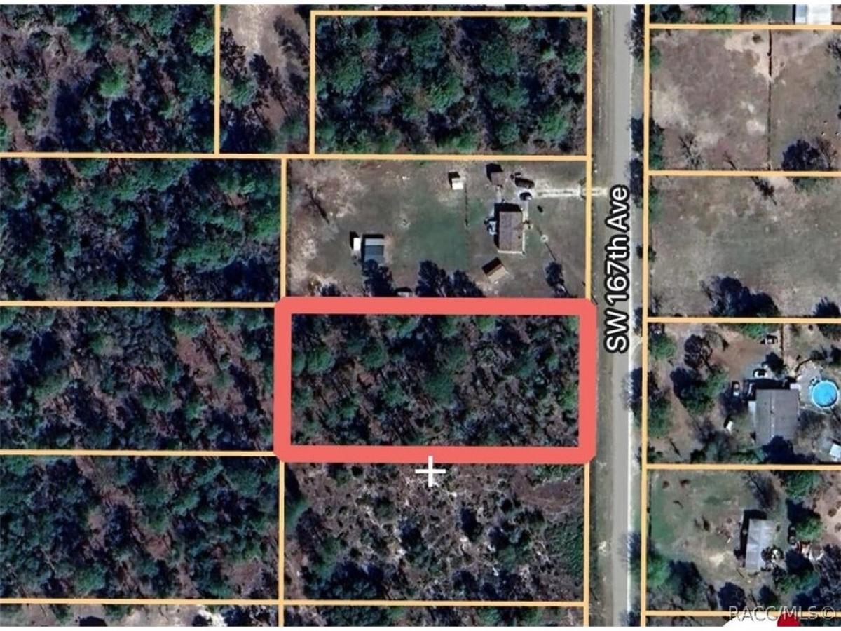 Picture of Residential Land For Sale in Ocala, Florida, United States