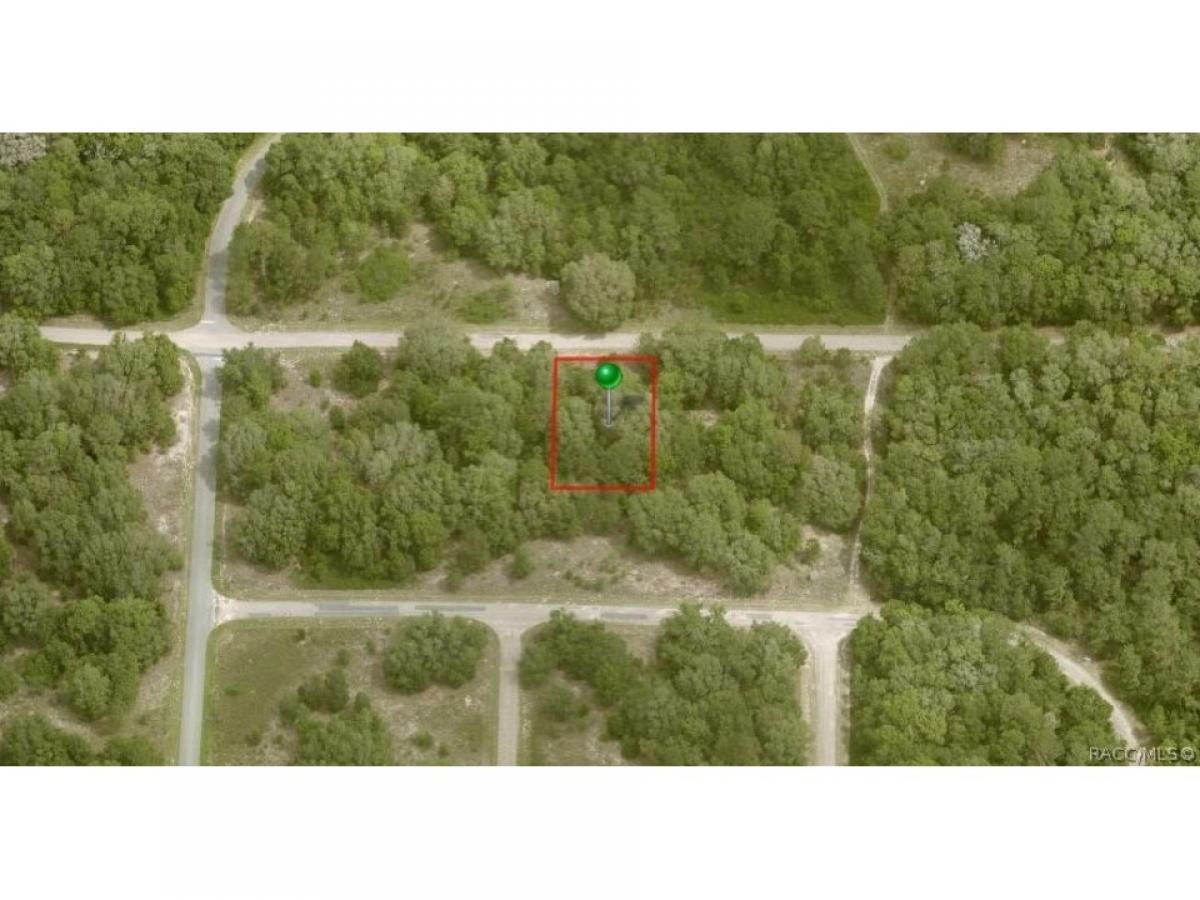 Picture of Residential Land For Sale in Dunnellon, Florida, United States