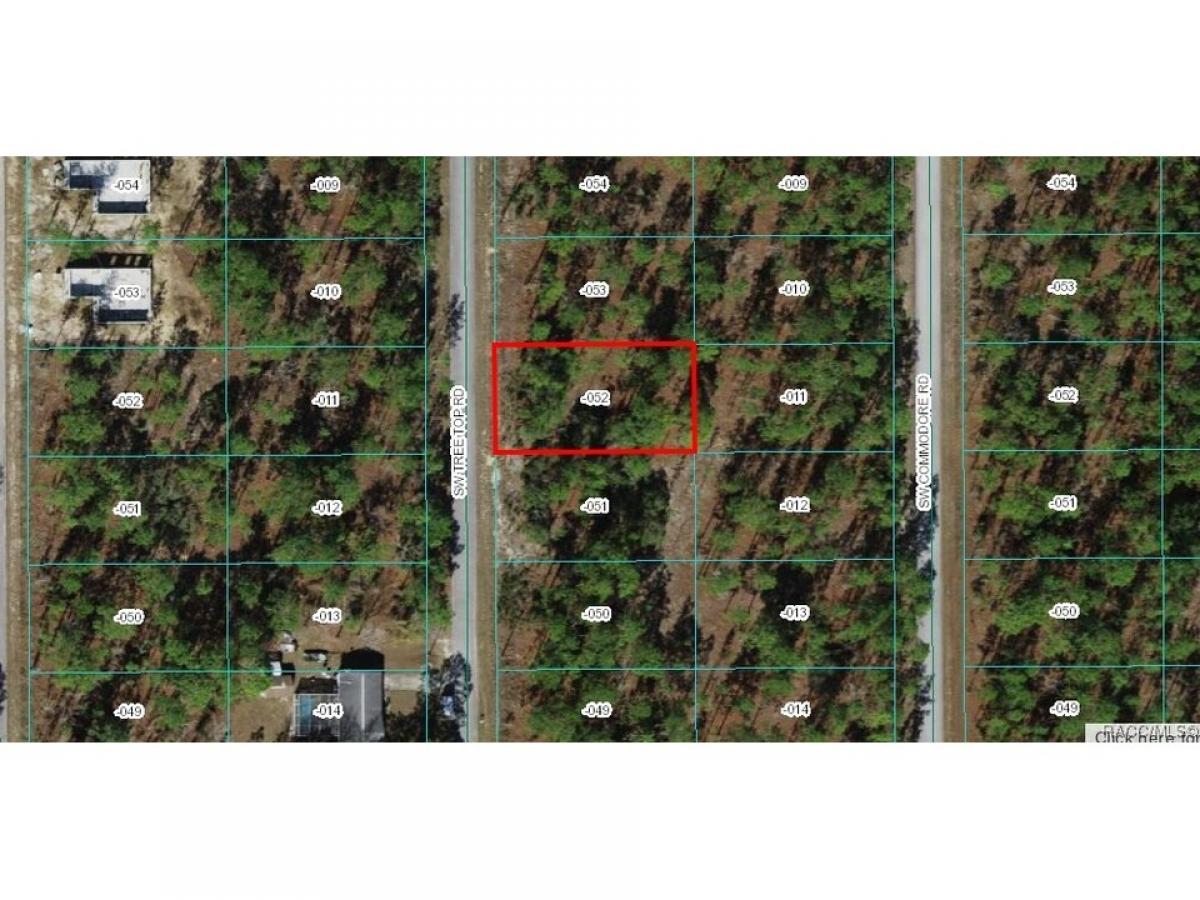 Picture of Residential Land For Sale in Dunnellon, Florida, United States