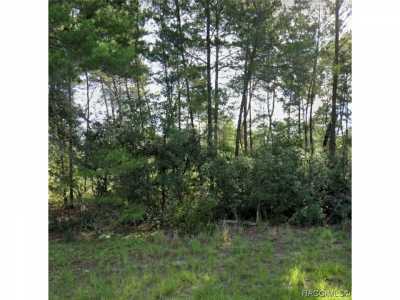 Residential Land For Sale in Ocala, Florida