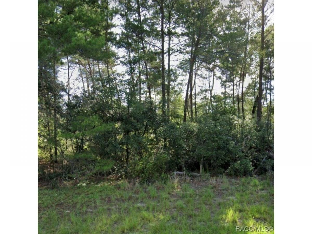 Picture of Residential Land For Sale in Ocala, Florida, United States