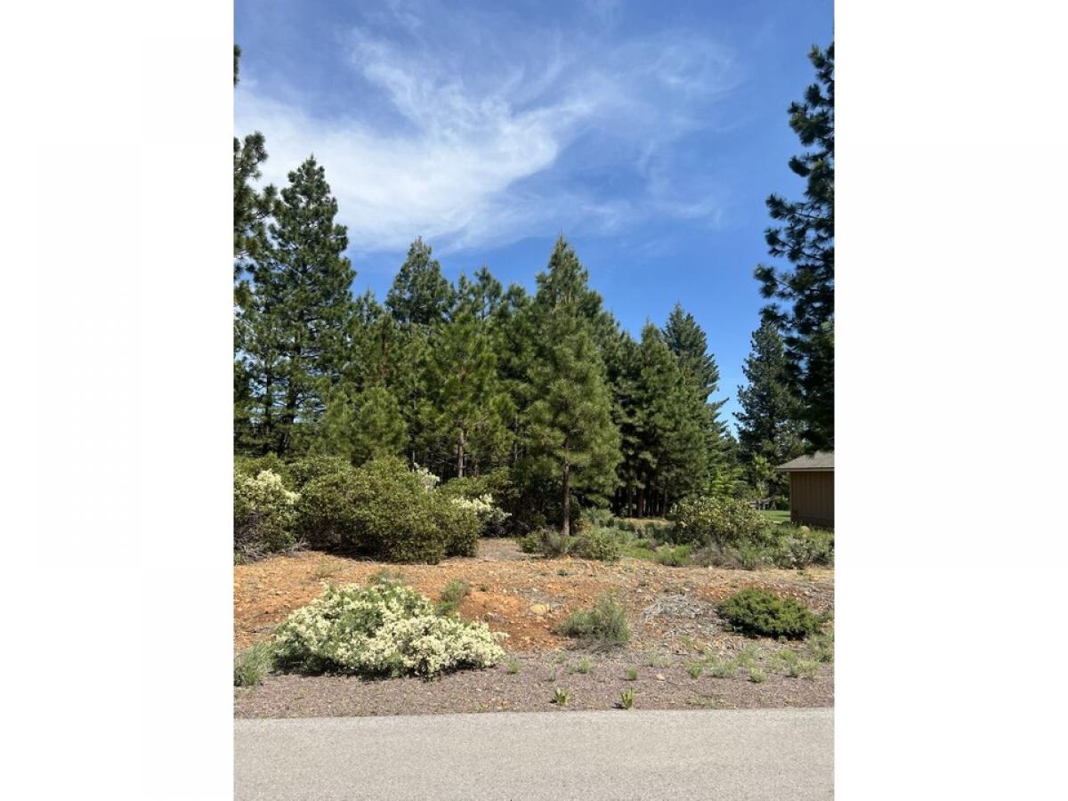 Picture of Residential Land For Sale in Lake Almanor, California, United States