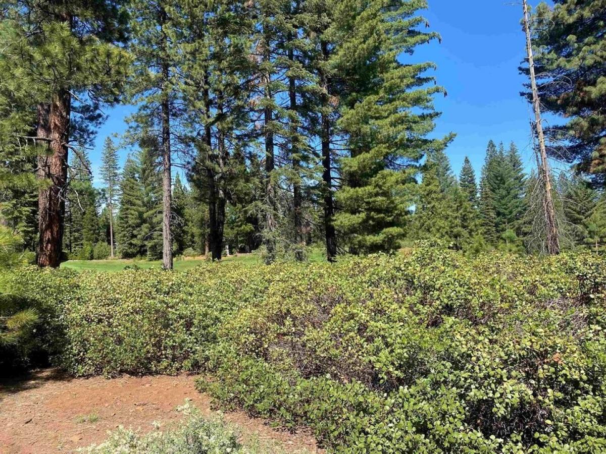 Picture of Residential Land For Sale in Lake Almanor, California, United States