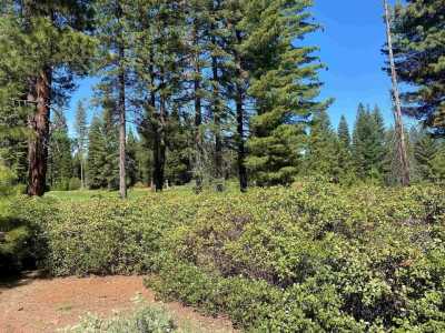 Residential Land For Sale in Lake Almanor, California