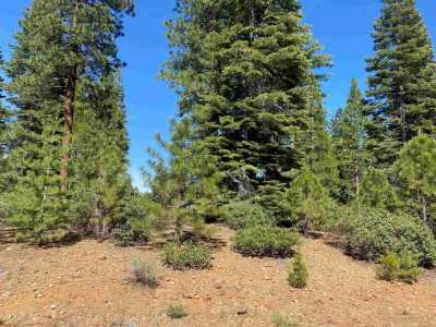 Residential Land For Sale in Lake Almanor, California