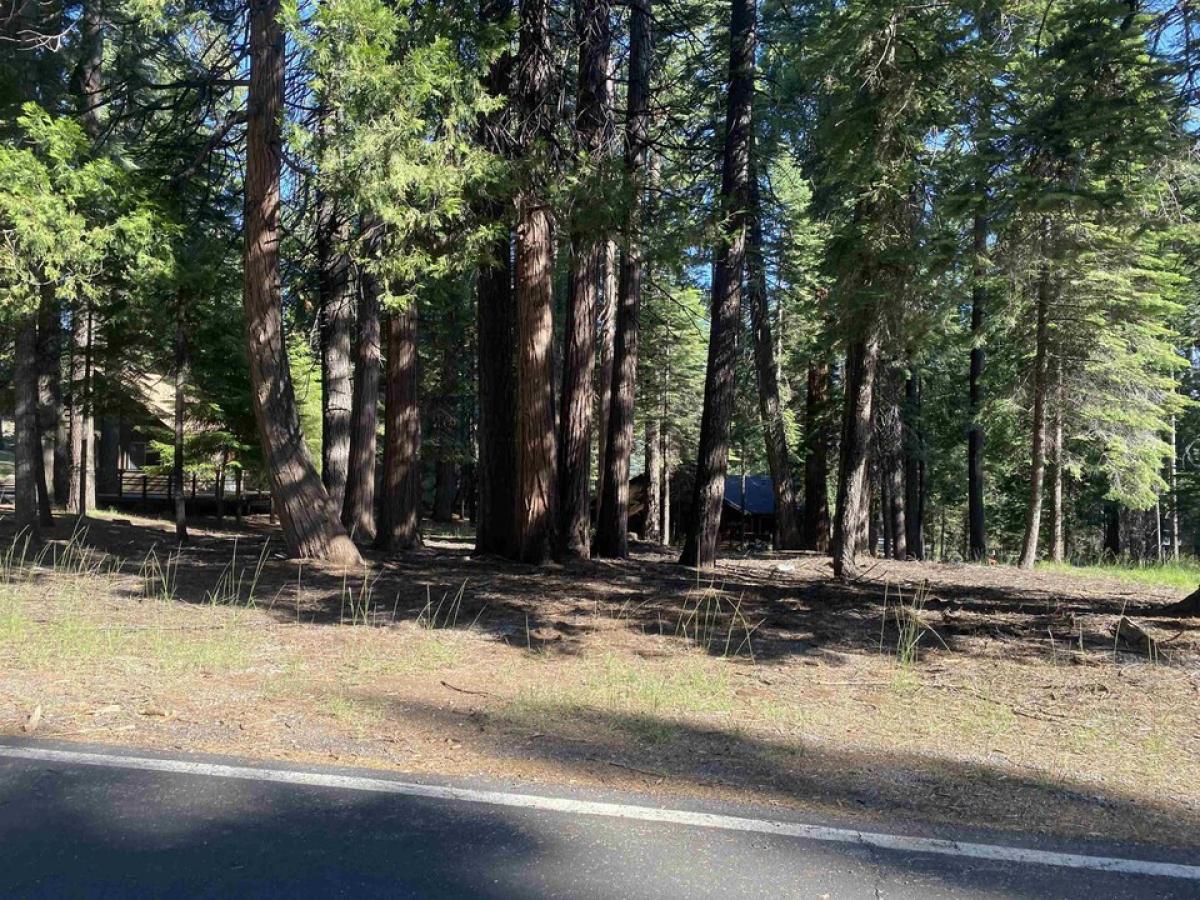 Picture of Residential Land For Sale in Lake Almanor, California, United States