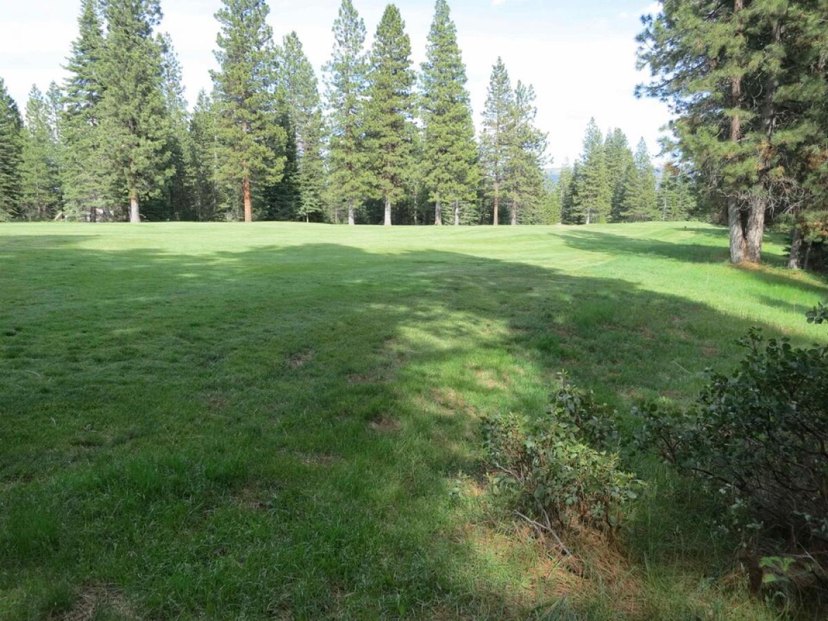 Picture of Residential Land For Sale in Lake Almanor, California, United States