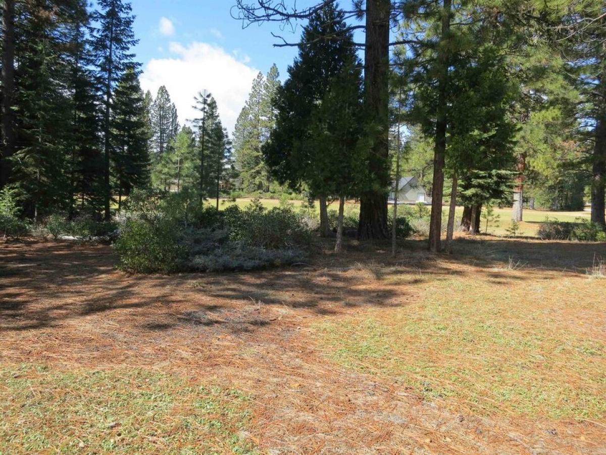 Picture of Residential Land For Sale in Lake Almanor, California, United States