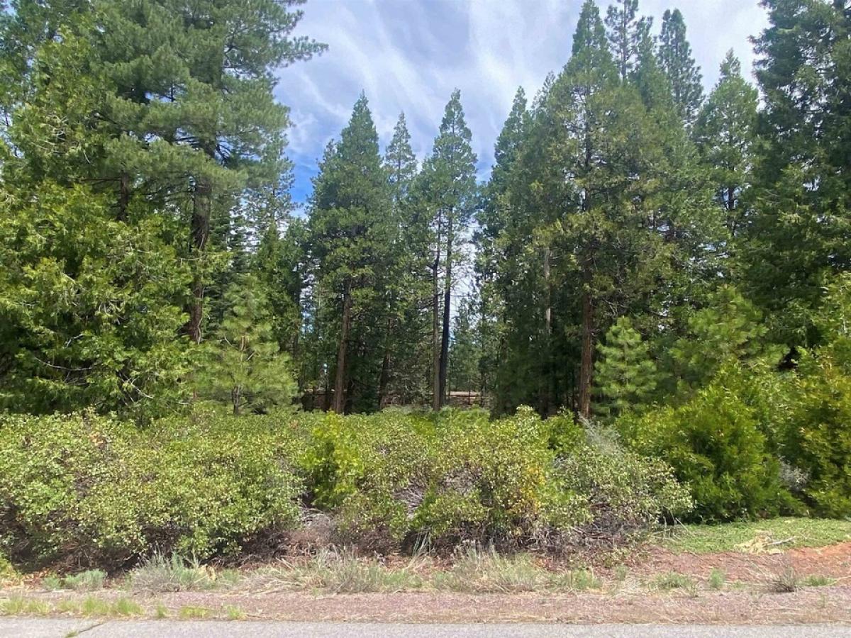 Picture of Residential Land For Sale in Lake Almanor, California, United States