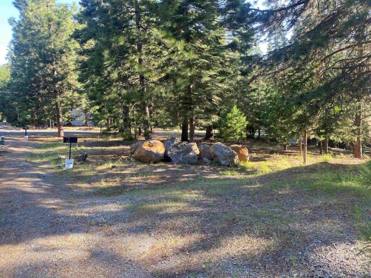 Picture of Residential Land For Sale in Lake Almanor, California, United States