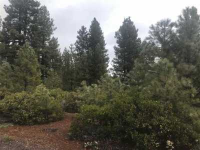 Residential Land For Sale in Lake Almanor, California