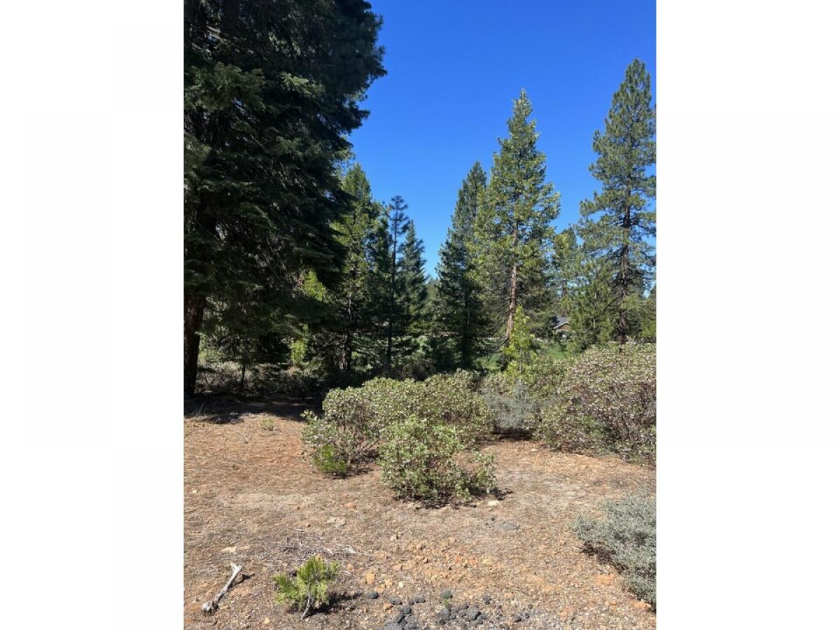 Picture of Residential Land For Sale in Lake Almanor, California, United States