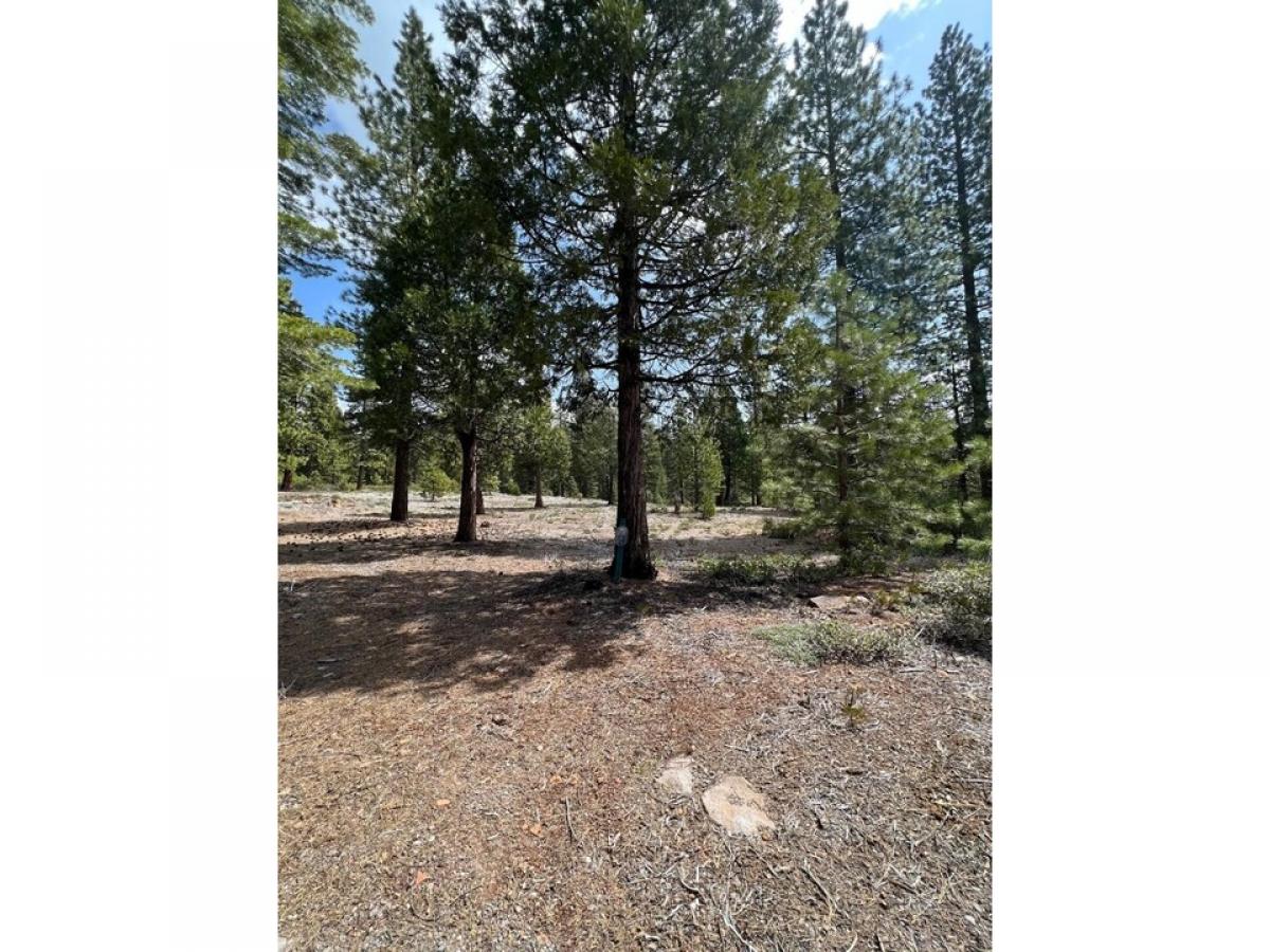 Picture of Residential Land For Sale in Lake Almanor, California, United States