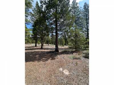 Residential Land For Sale in Lake Almanor, California