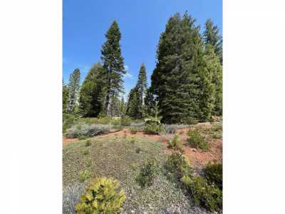 Residential Land For Sale in Lake Almanor, California