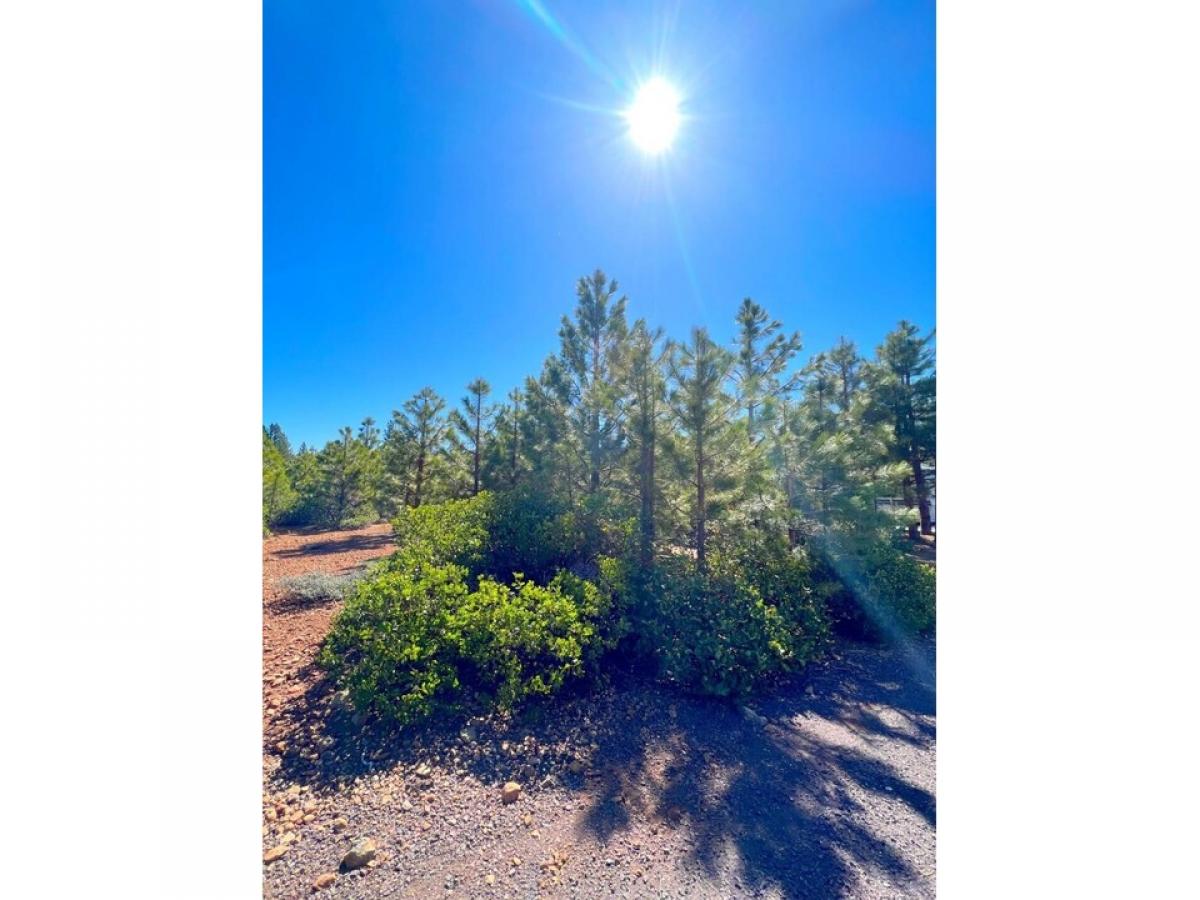 Picture of Residential Land For Sale in Lake Almanor, California, United States