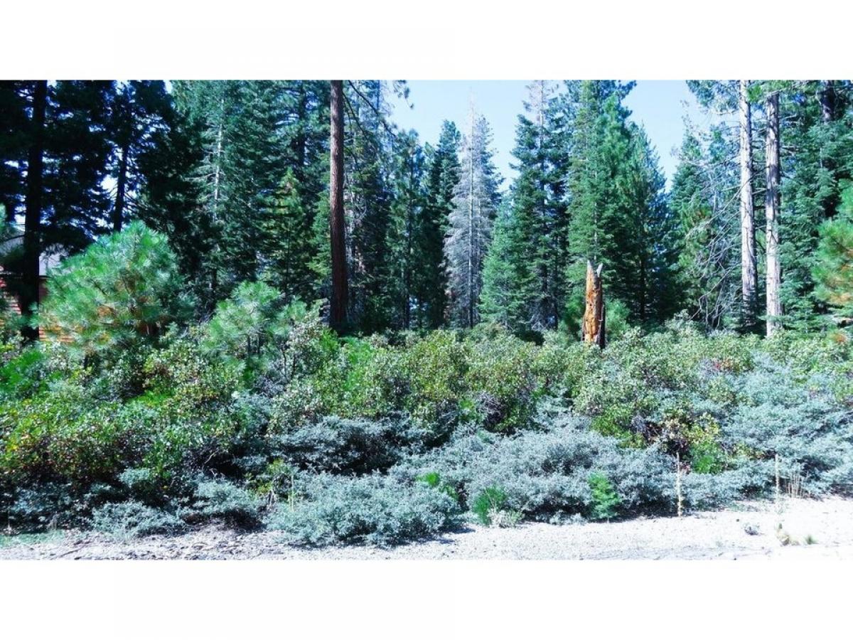 Picture of Residential Land For Sale in Lake Almanor, California, United States