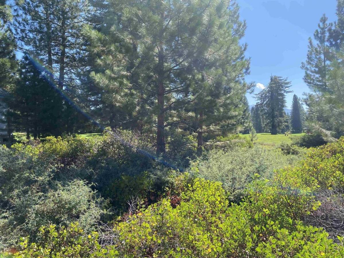 Picture of Residential Land For Sale in Lake Almanor, California, United States