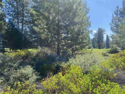 Residential Land For Sale in Lake Almanor, California