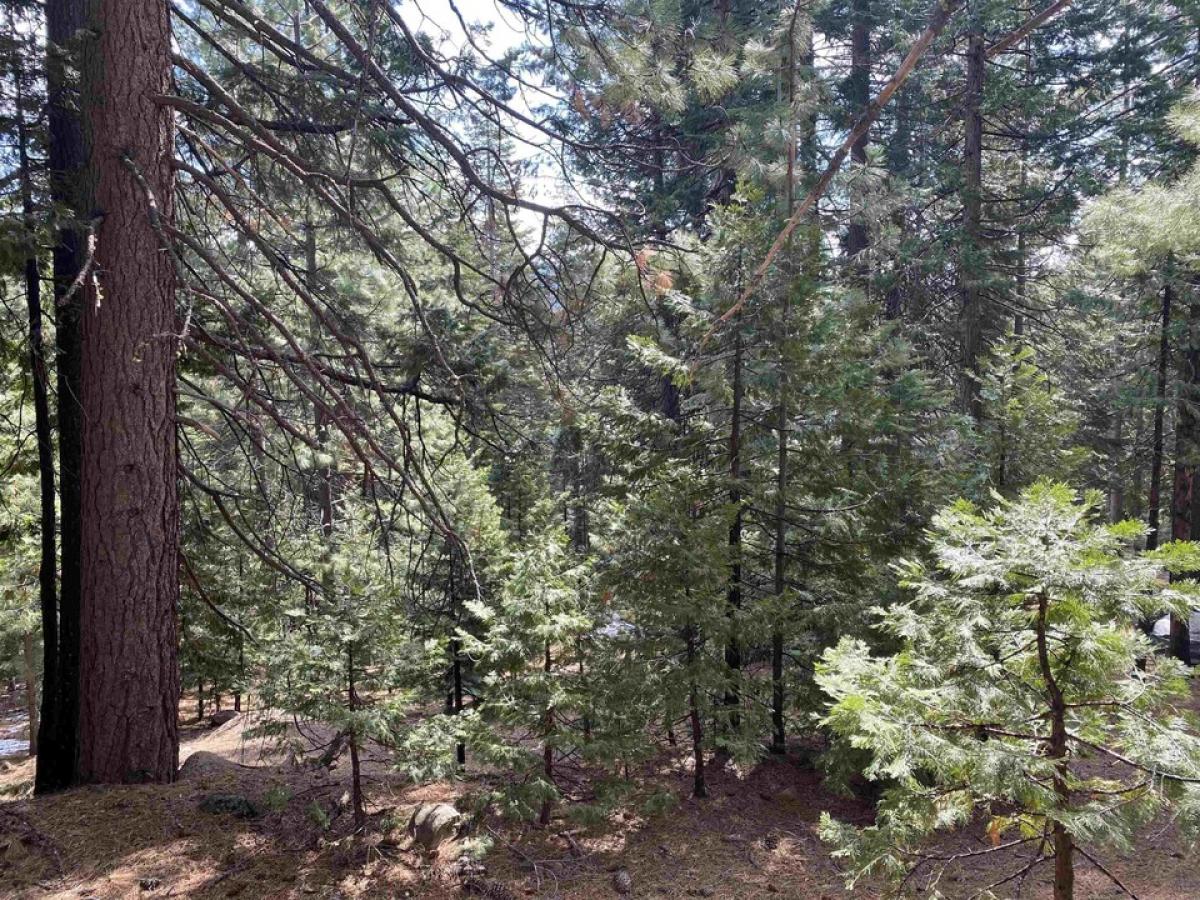 Picture of Residential Land For Sale in Lake Almanor, California, United States