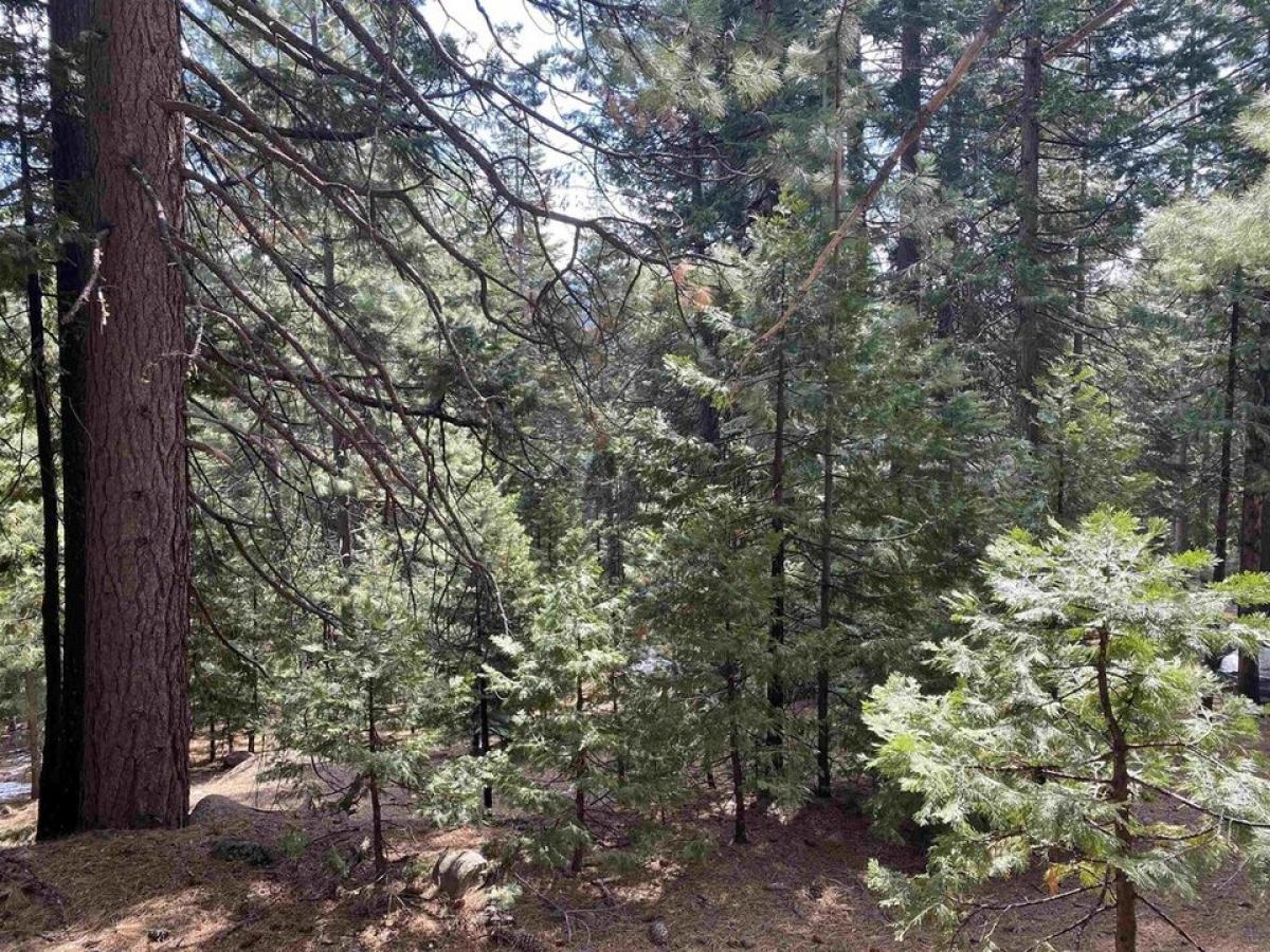 Picture of Residential Land For Sale in Lake Almanor, California, United States