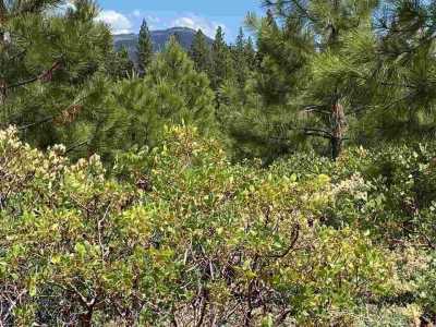 Residential Land For Sale in Lake Almanor, California