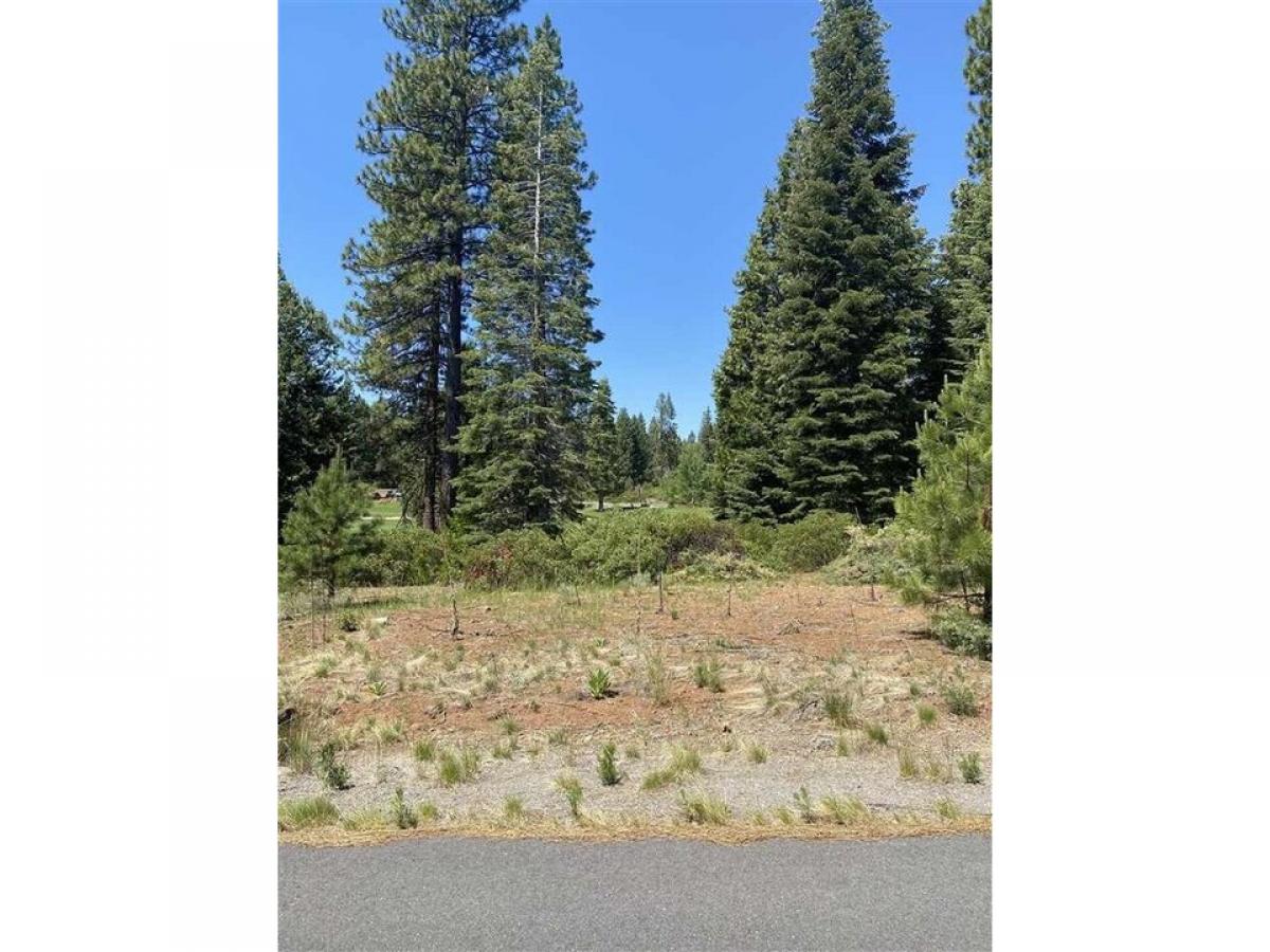 Picture of Residential Land For Sale in Lake Almanor, California, United States