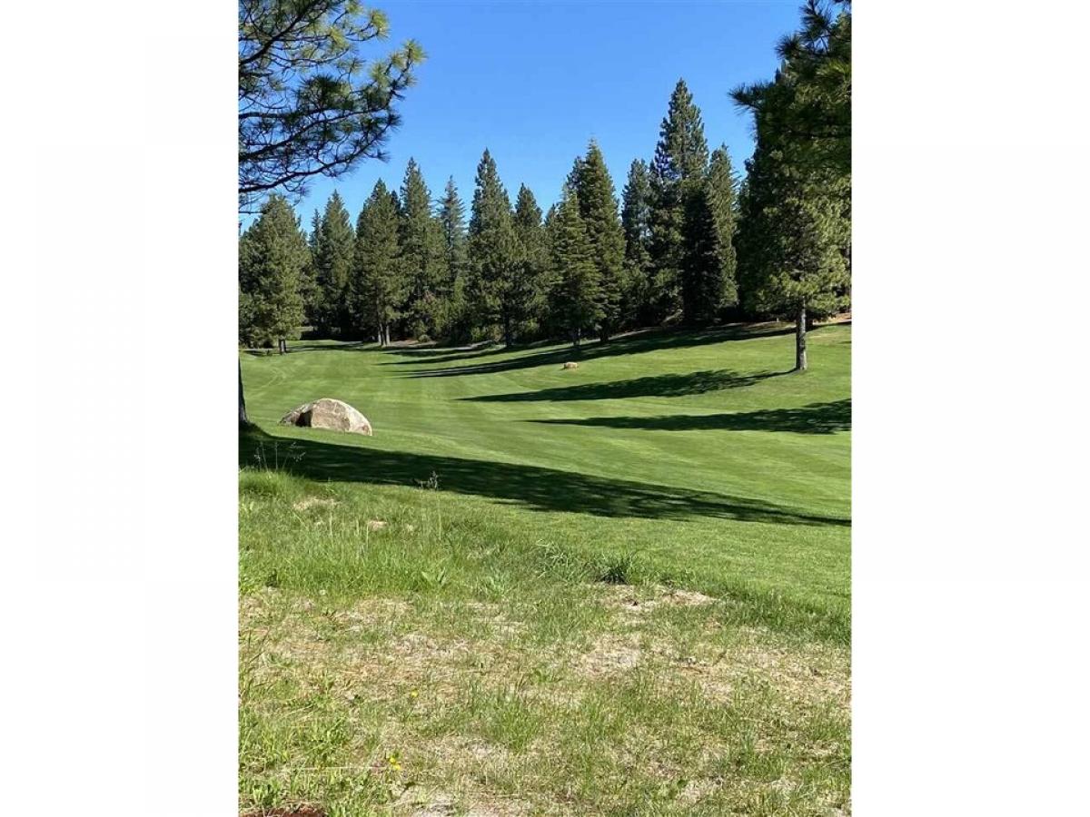 Picture of Residential Land For Sale in Lake Almanor, California, United States