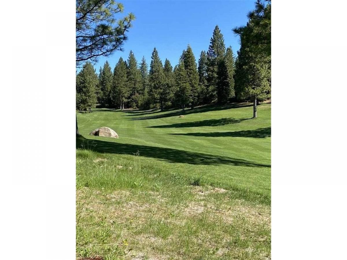 Picture of Residential Land For Sale in Lake Almanor, California, United States