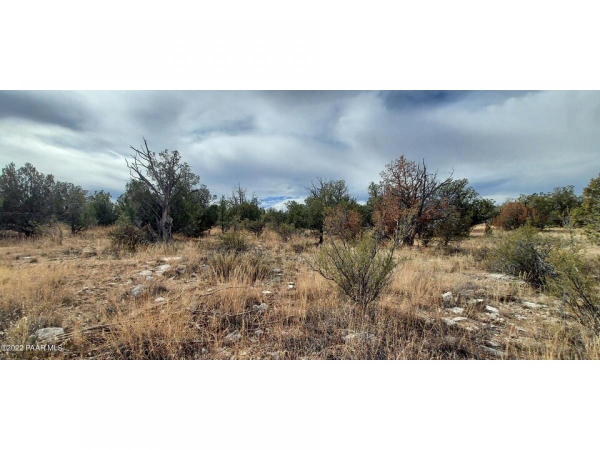 Picture of Residential Land For Sale in Seligman, Arizona, United States