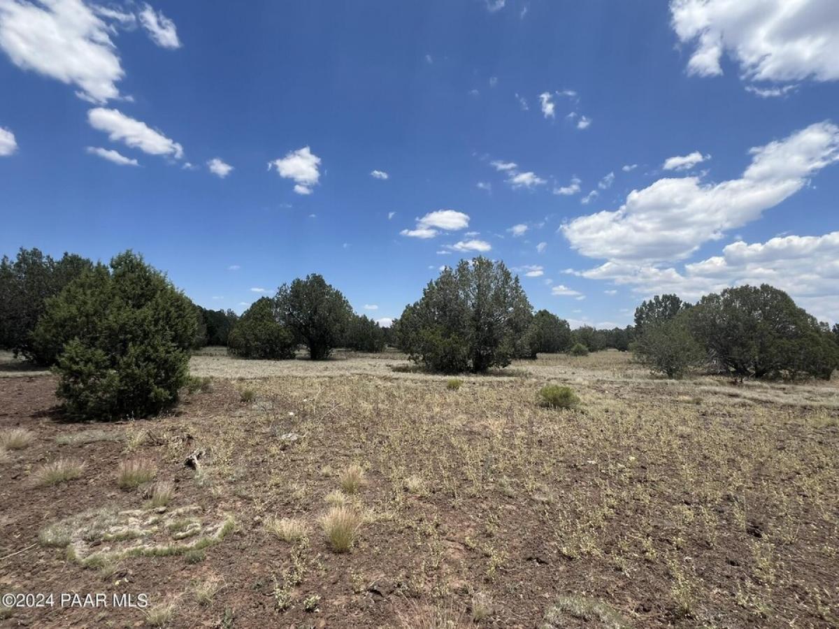 Picture of Residential Land For Sale in Ash Fork, Arizona, United States