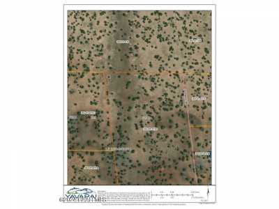 Residential Land For Sale in Ash Fork, Arizona