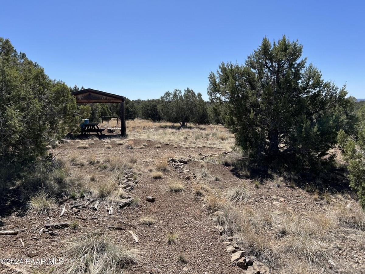 Picture of Residential Land For Sale in Ash Fork, Arizona, United States