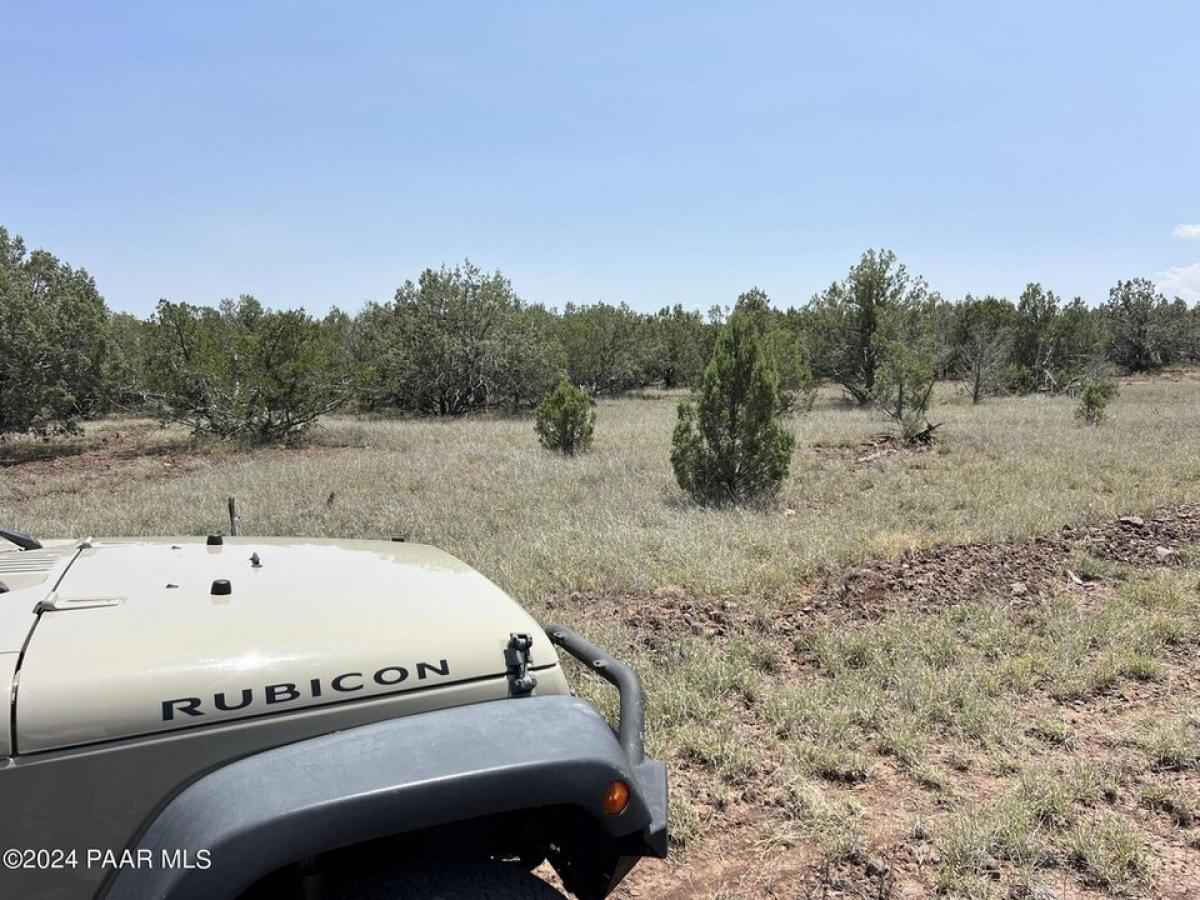 Picture of Residential Land For Sale in Ash Fork, Arizona, United States