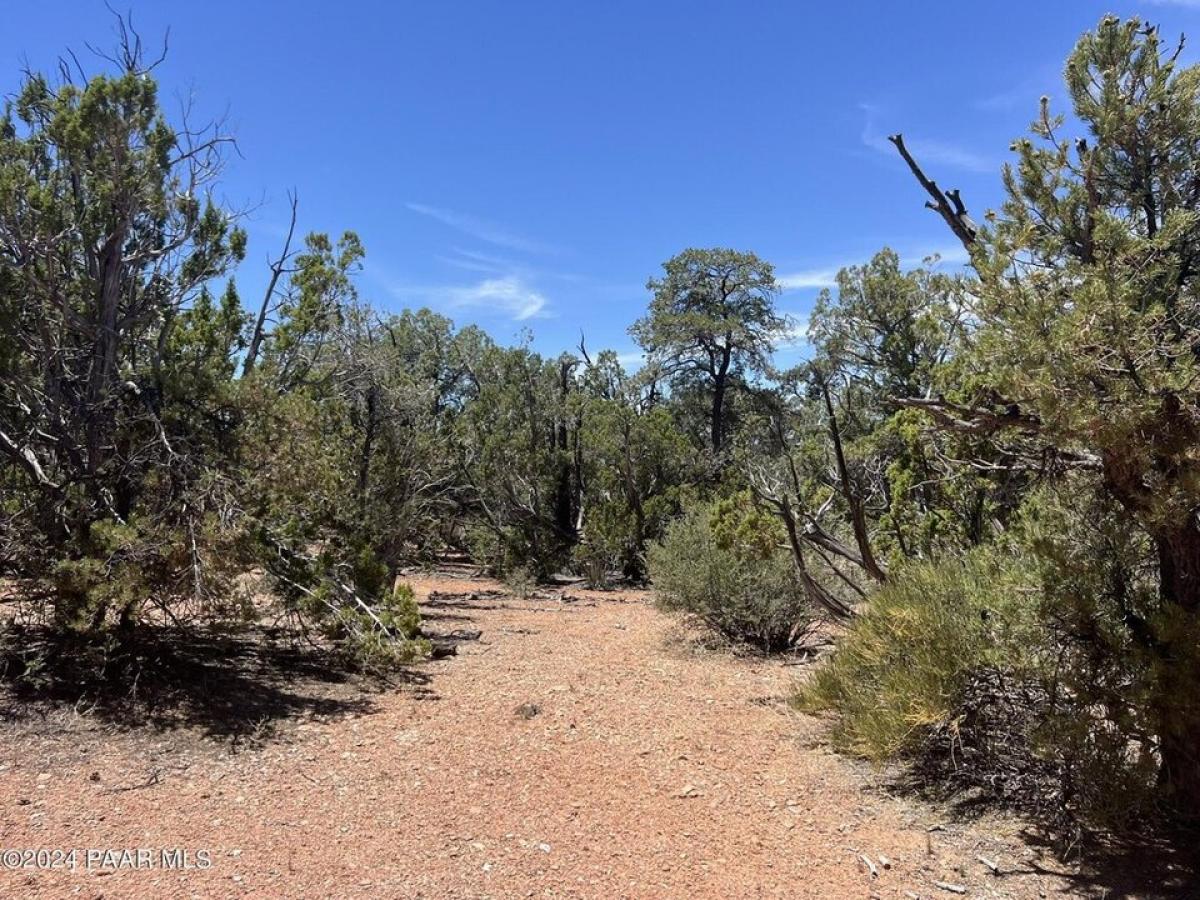 Picture of Residential Land For Sale in Seligman, Arizona, United States