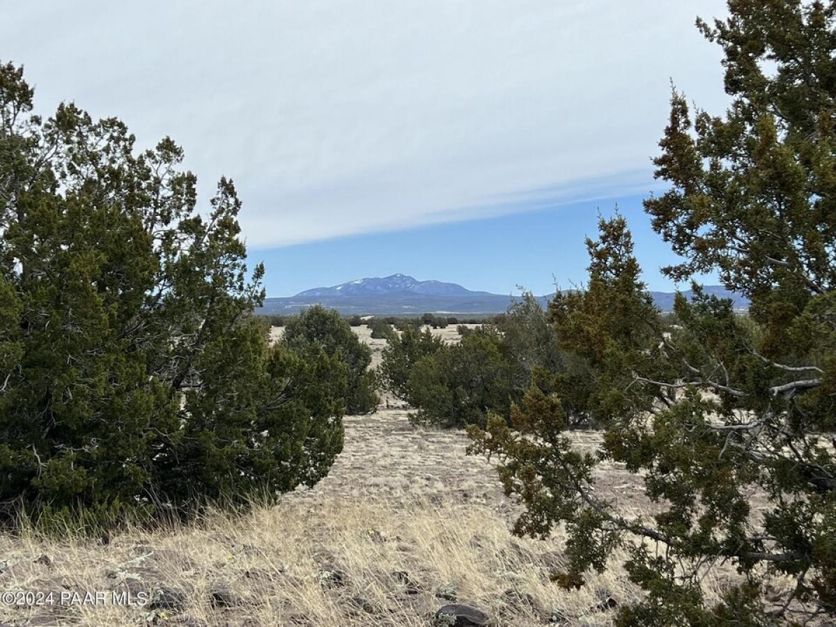 Picture of Residential Land For Sale in Ash Fork, Arizona, United States