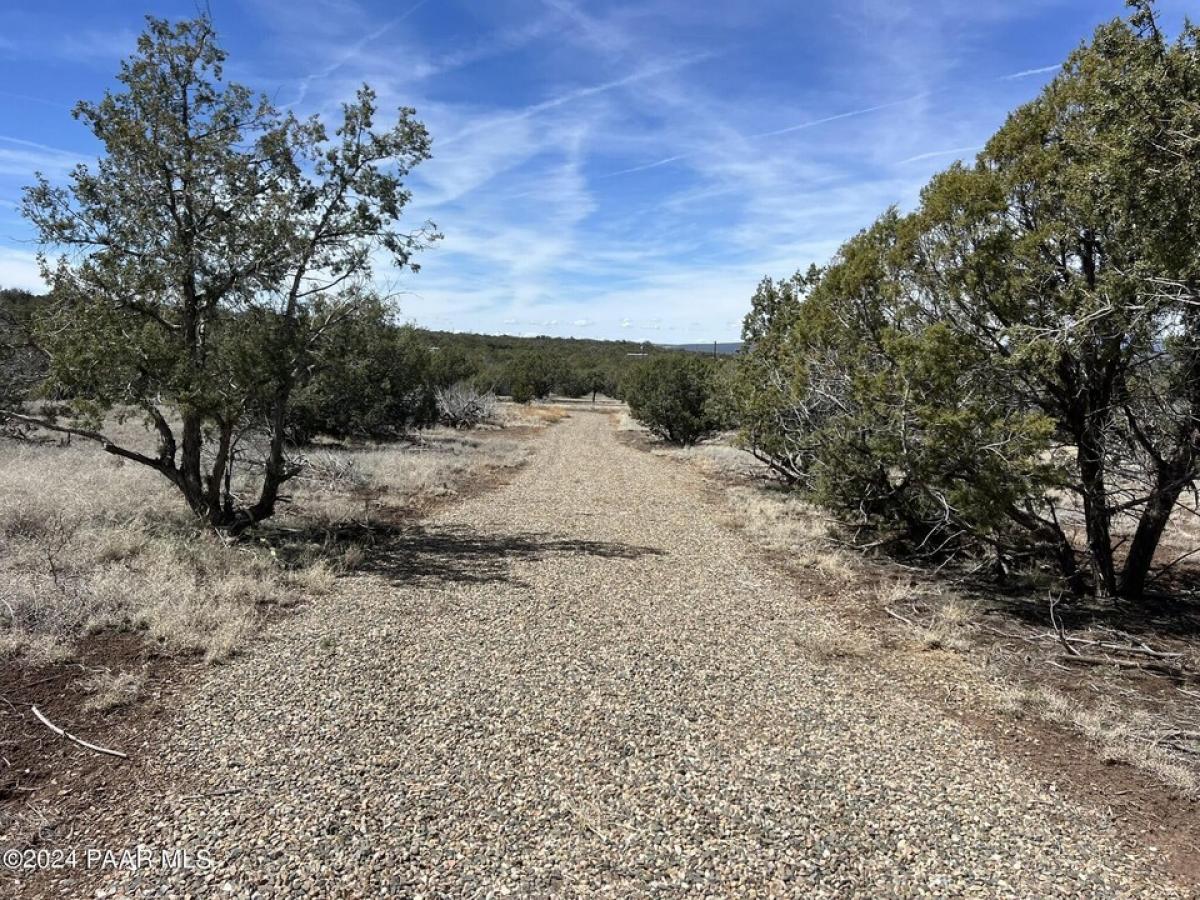 Picture of Residential Land For Sale in Williams, Arizona, United States