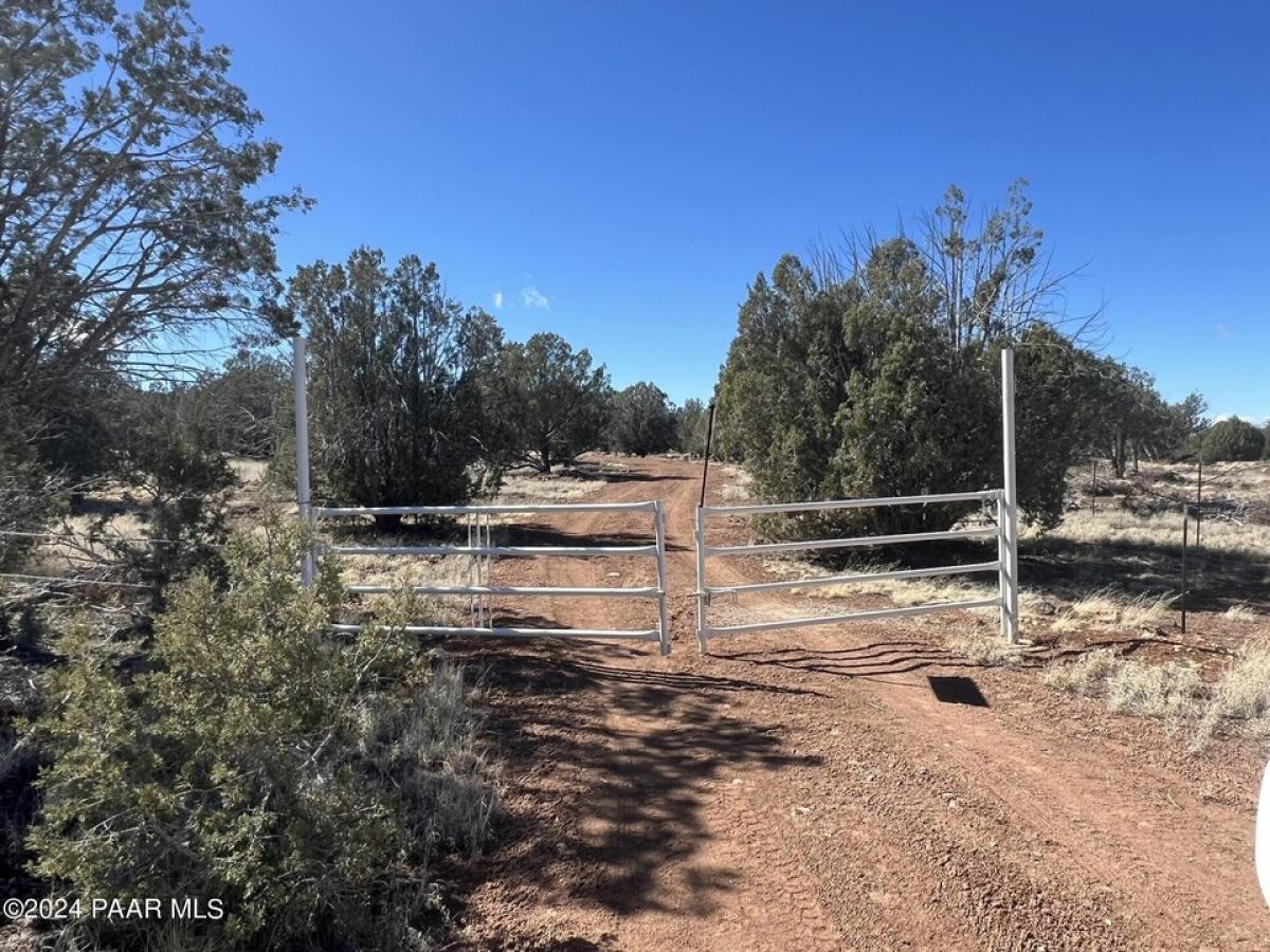 Picture of Residential Land For Sale in Ash Fork, Arizona, United States