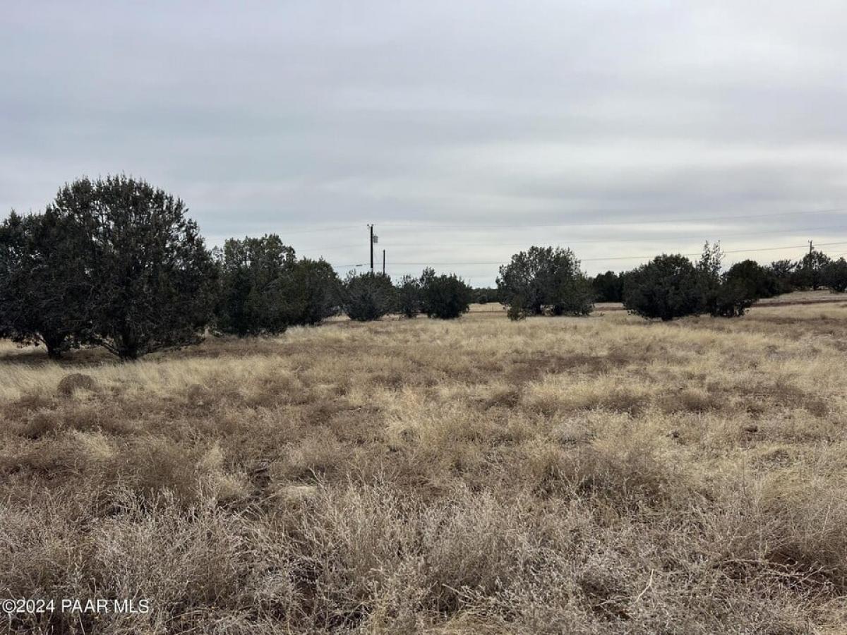 Picture of Residential Land For Sale in Williams, Arizona, United States