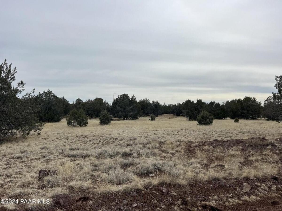 Picture of Residential Land For Sale in Williams, Arizona, United States