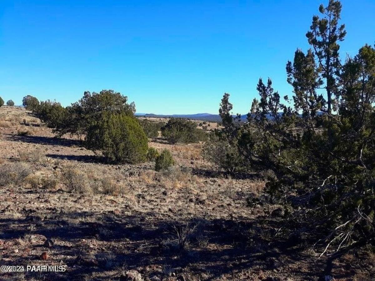 Picture of Residential Land For Sale in Ash Fork, Arizona, United States